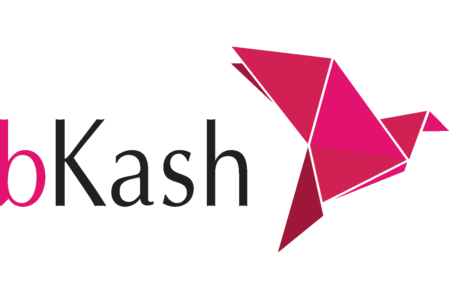 bkash-logo