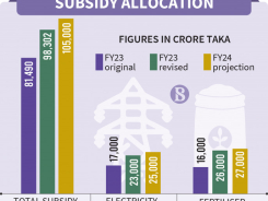 p1_infograph_subsidy-allocation