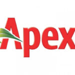 Apex Footwear recommends 50% dividend as profit falls 23% in FY25