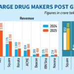 Big pharma posts big gains, but market turmoil mutes investor optimism